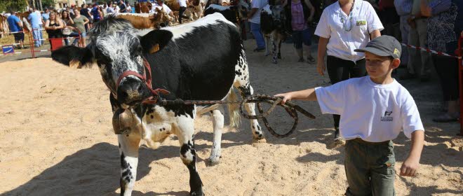 Le village de Soye a accueilli hier la 135e édition du Comice agricole du Pays de Montbéliard