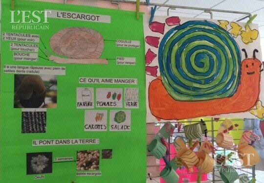 Les élèves ont exposé leurs travaux